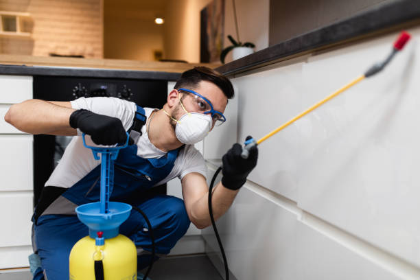Best Pest Removal Services  in St Helen, MI