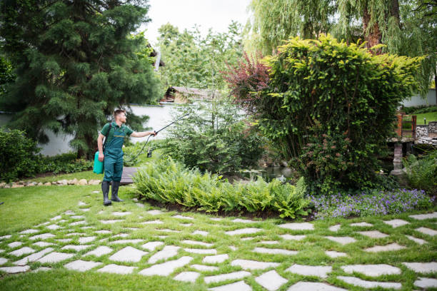 Best Best Pest Control Companies  in St Helen, MI