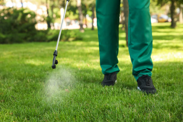 Best Affordable Pest Control Services  in St Helen, MI