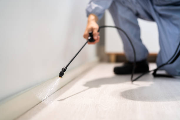 Best Pest Prevention Services  in St Helen, MI