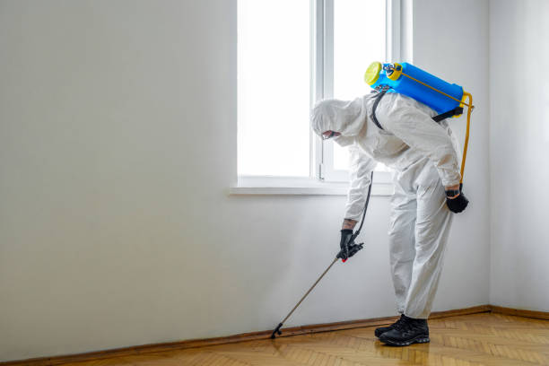 Best Best Pest Control Near Me  in St Helen, MI