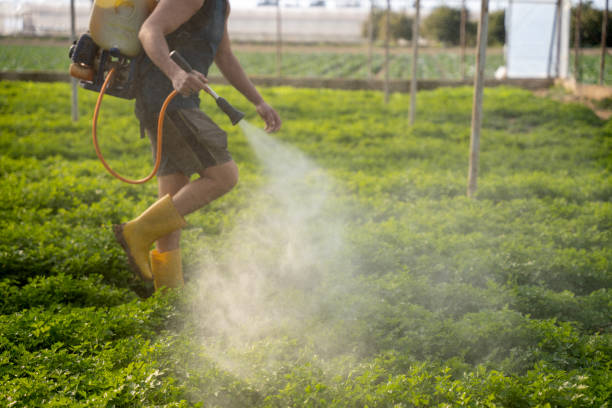 Trusted St Helen, MI Pest Control Experts