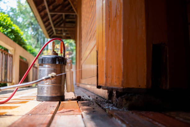 Best Exterminator Services  in St Helen, MI