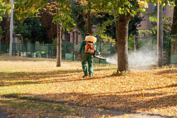 Best Rodent Control Near Me  in St Helen, MI