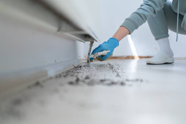 Best Commercial Pest Control Services  in St Helen, MI